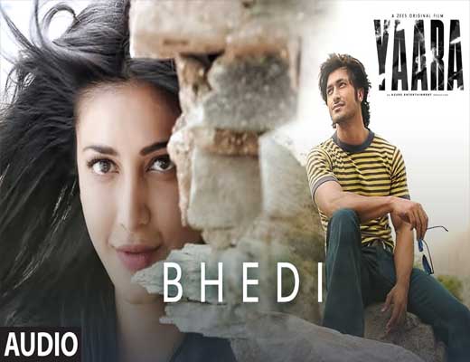Bhedi---Yaara---Lyrics-In-Hindi