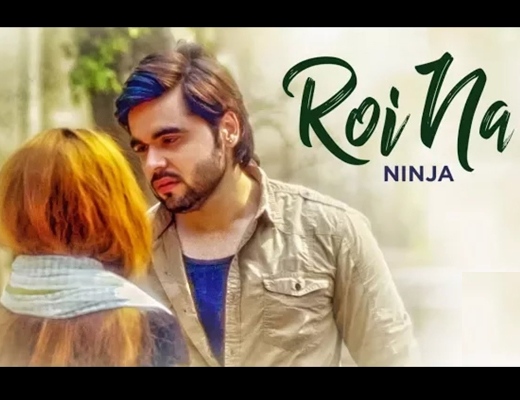 Royi Na Song Hindi Lyrics - Ninja