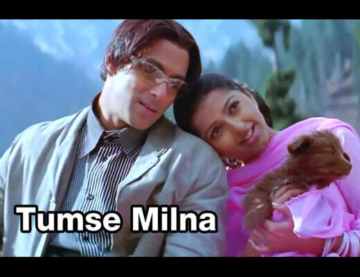 Tumse Milna Hindi Lyrics - Tere Naam (2003)