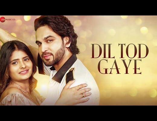 Dil Tod Gaye Hindi Lyrics – Raj Barman