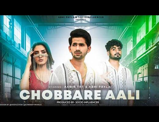 Chobare Aali Hindi Lyrics - Aamir TRT
