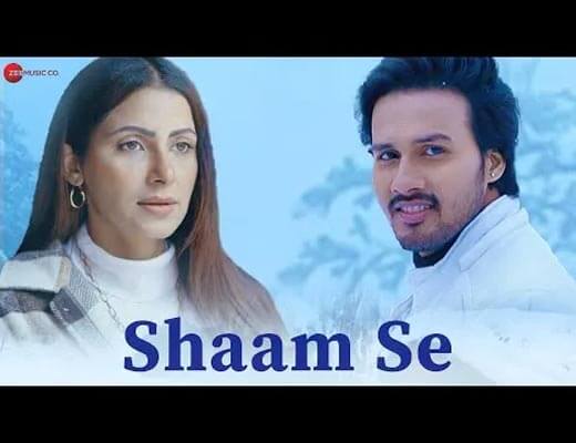 Shaam Se Hindi Lyrics – Laila
